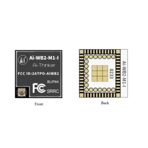 Ai-Thinker Ai-WB2-M1-I Module