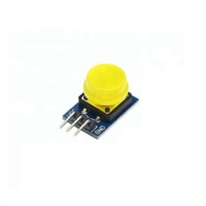 Building Blocks Big Key Button Module