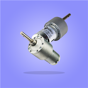 Johnson Geared Motor