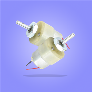 Plastic Gear Box Motor